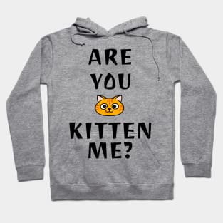 Are You Kitten Me? Hoodie